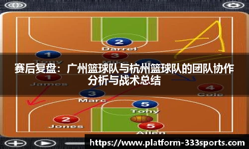 333体育官网